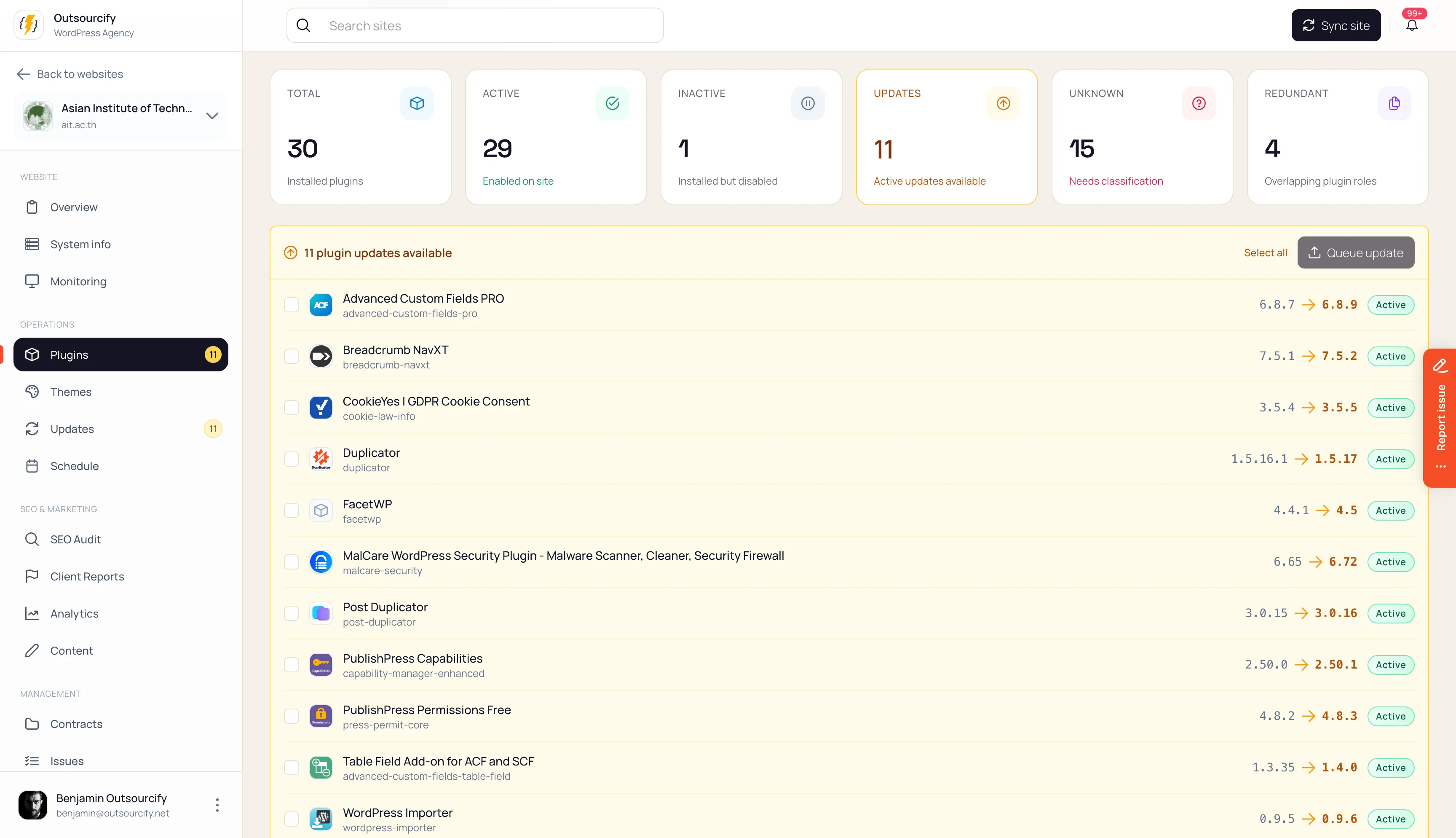 WordPress plugin inventory showing active, inactive and redundant plugins, with available version updates.